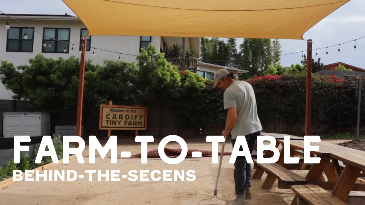 Farm-To-Table Dinner — Behind the Scenes 🌿