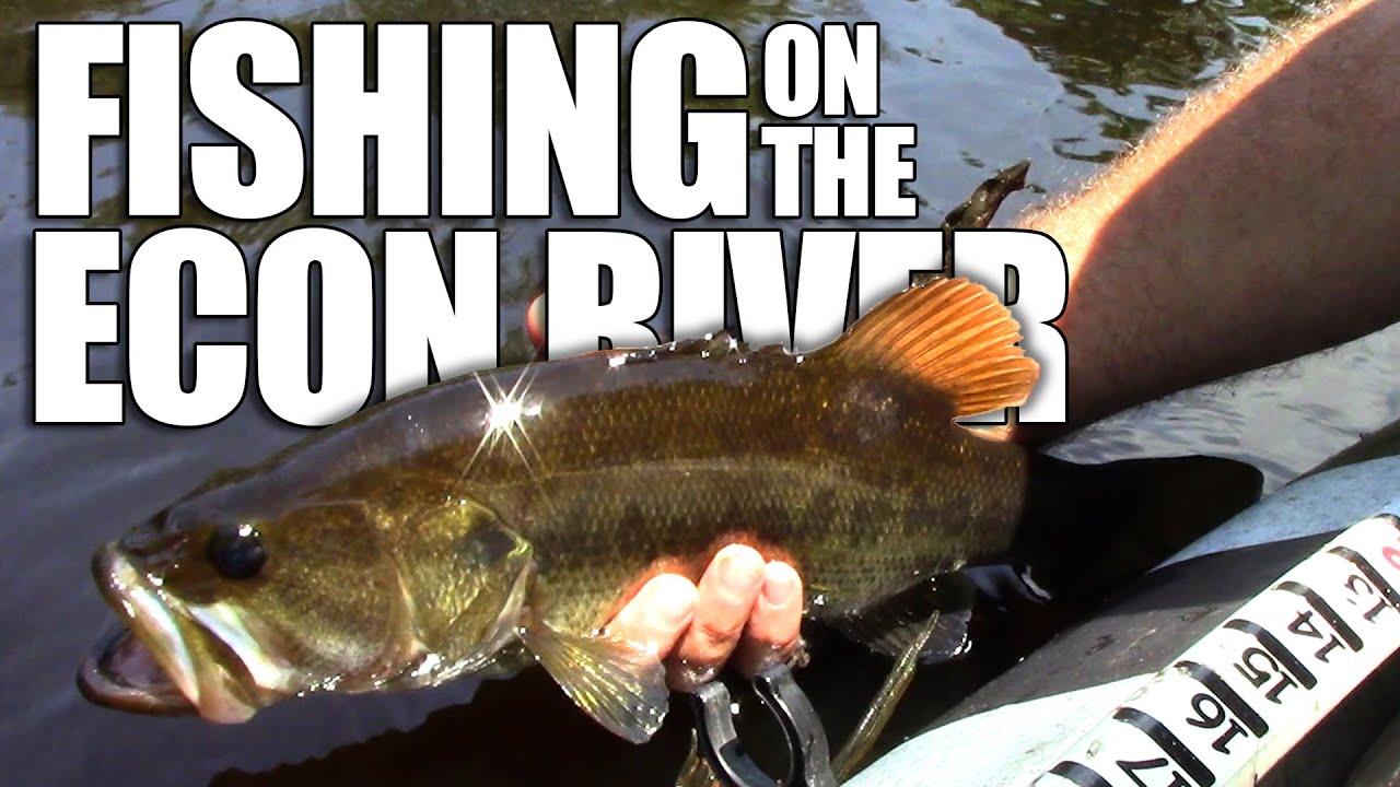 What it's Like to Fish the Econ River Florida