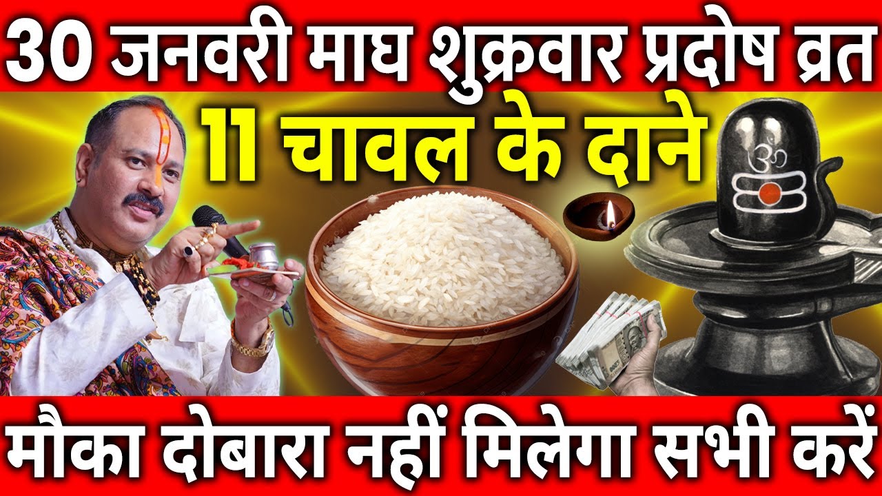 30 जनवरी माघ शुक्रवार प्रदोष व्रत के दिन 11 चावल के दाने वाला उपाय जरुर करे || Pradeep Ji Mishra