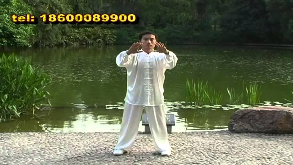 Dayan (Wild Goose) Qigong - Kidney nourishing gong