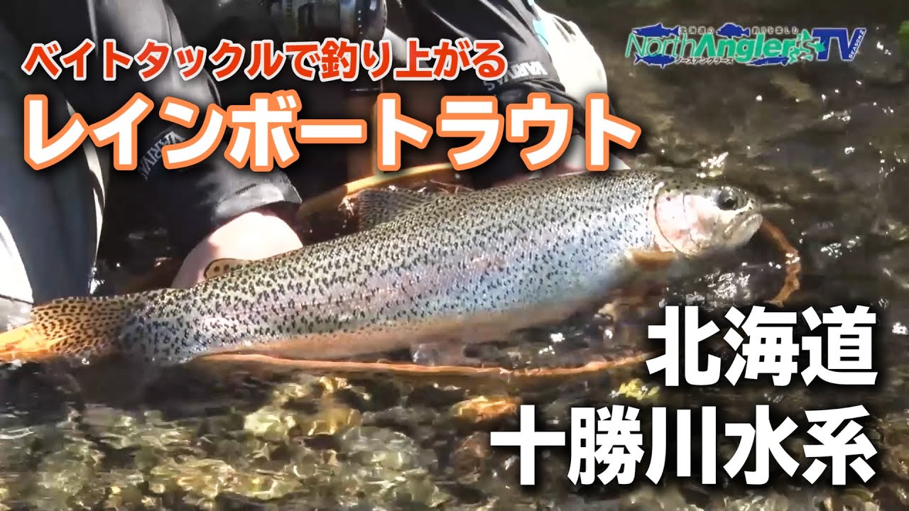 十勝川のニジマス【ベイトタックルで釣り上がる】