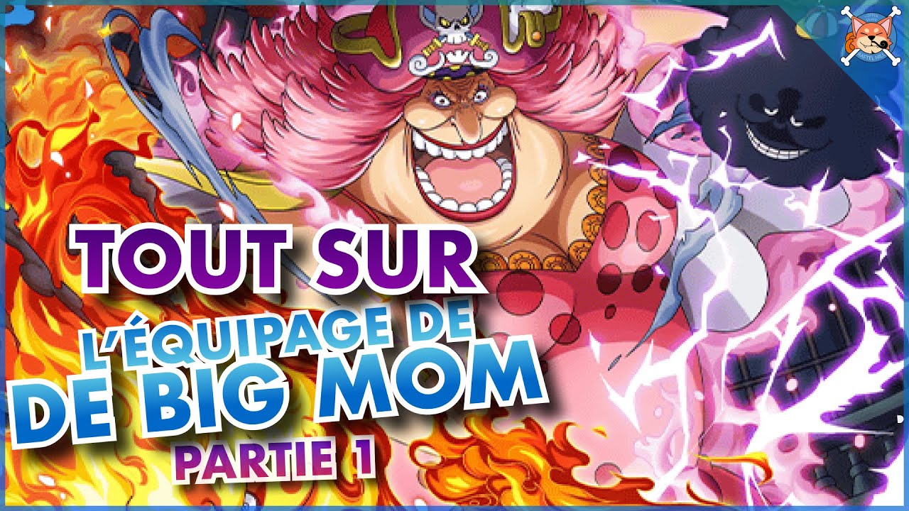 ON VOUS DIT TOUT SUR L’ÉQUIPAGE DE BIG MOM - Partie 1 - One piece Explications