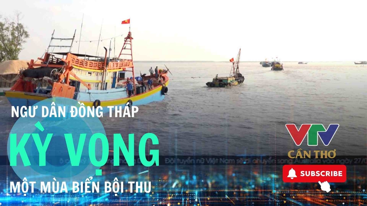 Đồng Tháp: Hơn 1.500 tàu cá đánh bắt đầu Xuân  | VTV CẦN THƠ