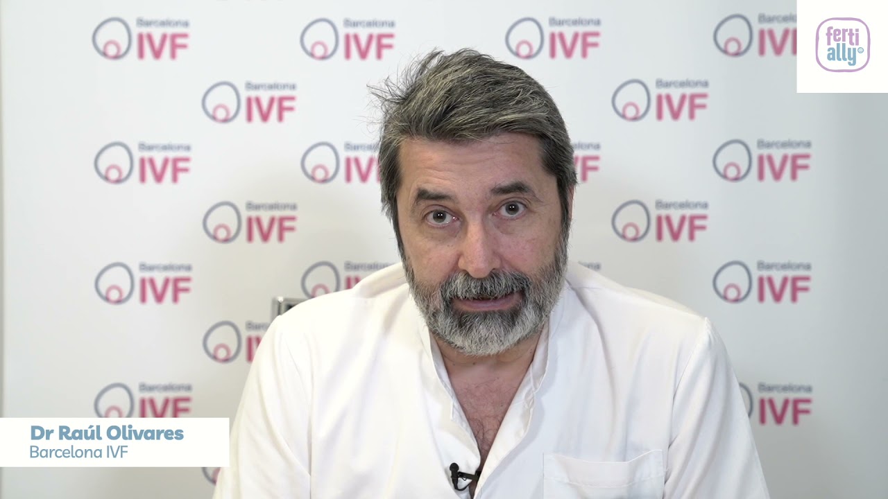 What happens after embryo transfer?