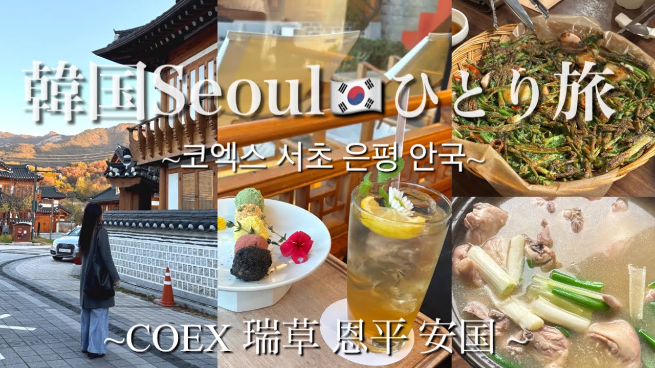 【韓国🇰🇷】COEX/瑞草/恩平韓屋村/安国/ソウルひとり旅/일본인 한국친구 만남! 은평