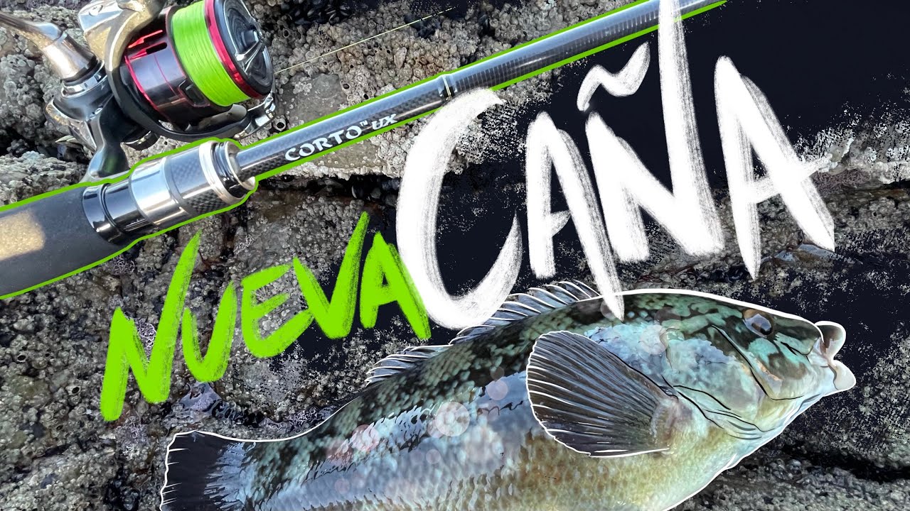 Poniendo a prueba la 𝐆𝐑𝐀𝐏𝐇𝐈𝐓𝐄𝐋𝐄𝐀𝐃𝐄𝐑 𝐂𝐎𝐑𝐓𝐎 𝐔𝐗 || NUEVA CAÑA de ROCKFISHING