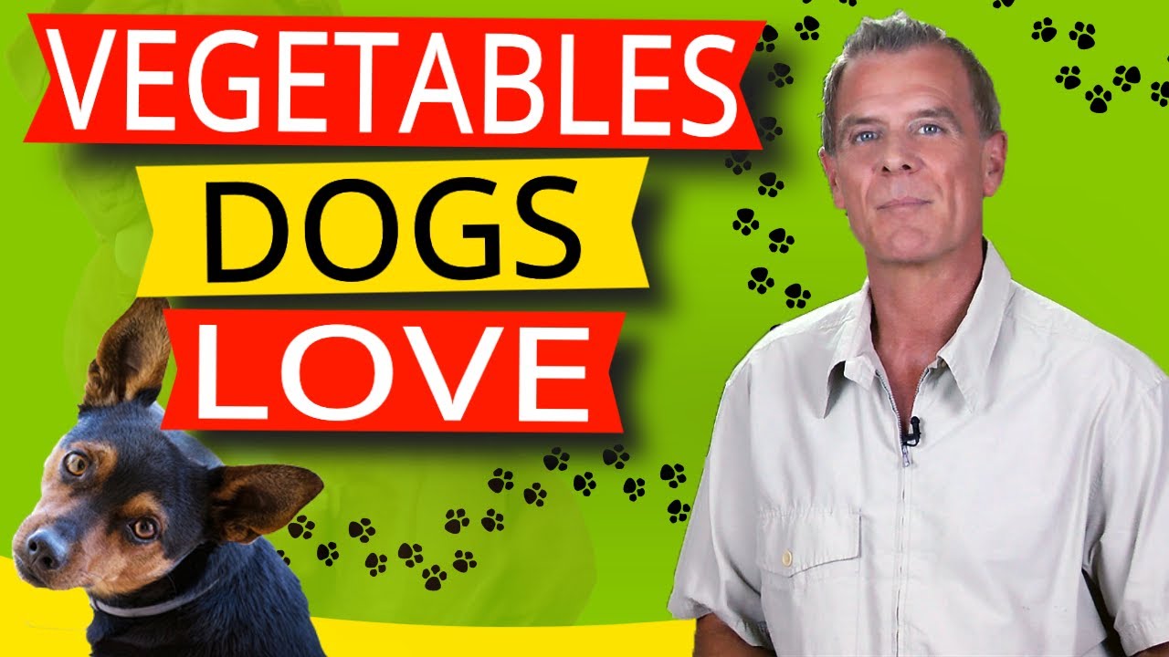 16 Vegetables Dogs Like To Eat (And 9 Reasons Why)