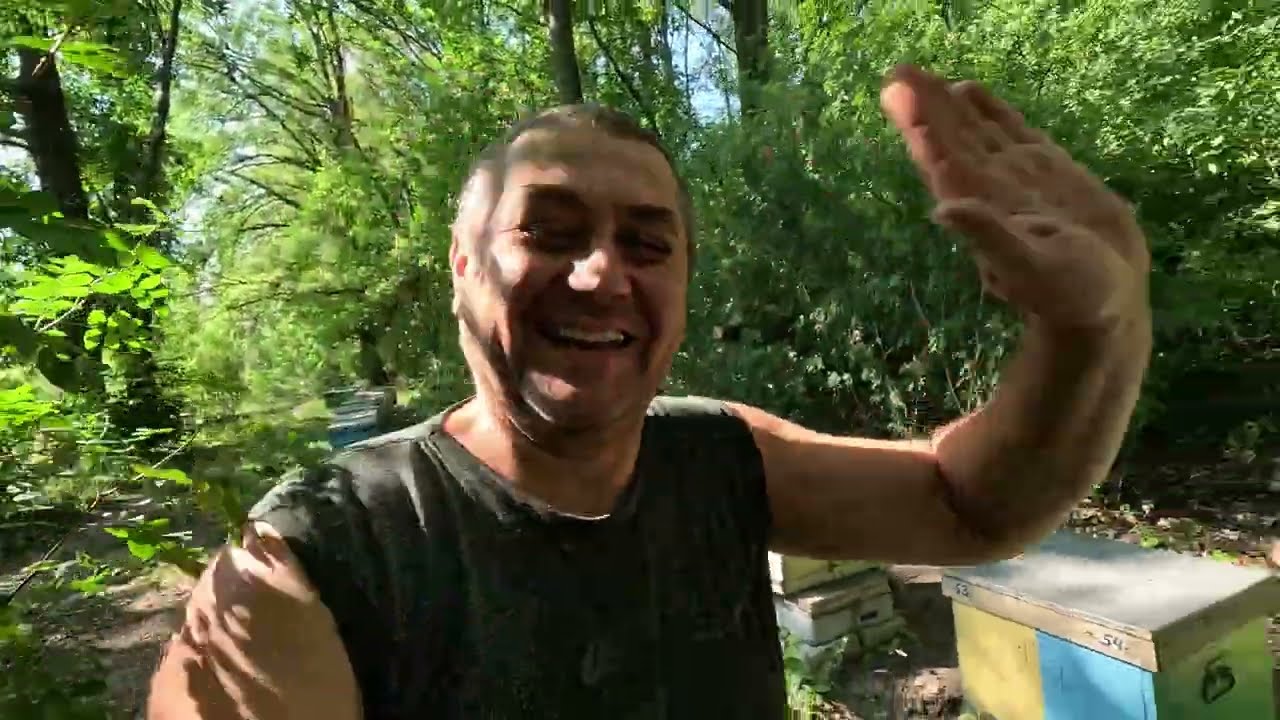 ✅ Закорм Пчел Сиропом и Полоски от Клеща Монхао! Пасека на связи! #пчеловодство1