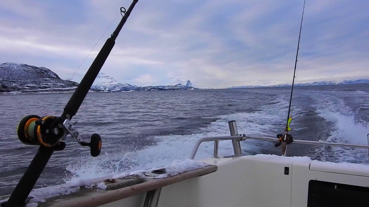 And&ouml;rja Adventures weekend Norway