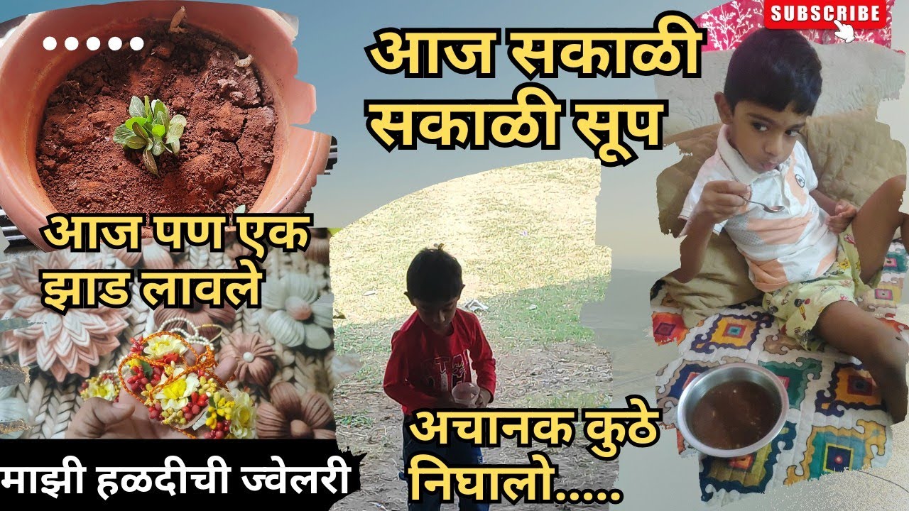 आज पण एक छान झाड लावलं बरं का |जुन्या आठवणी 😍🥰#knbfamily 