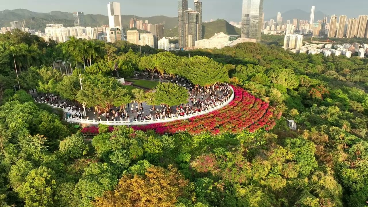 Lianhuashan Park (Lotus Mountain Park), Shenzhen