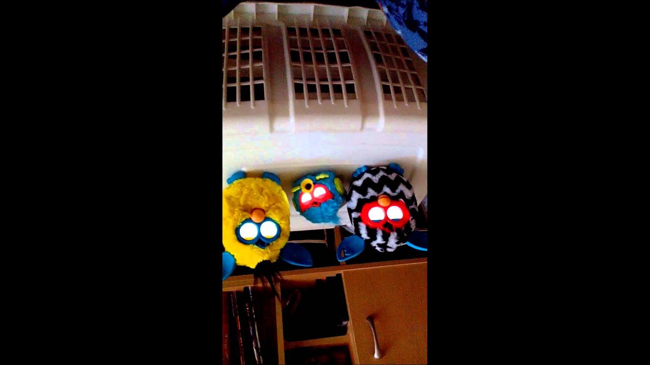 Furby family
