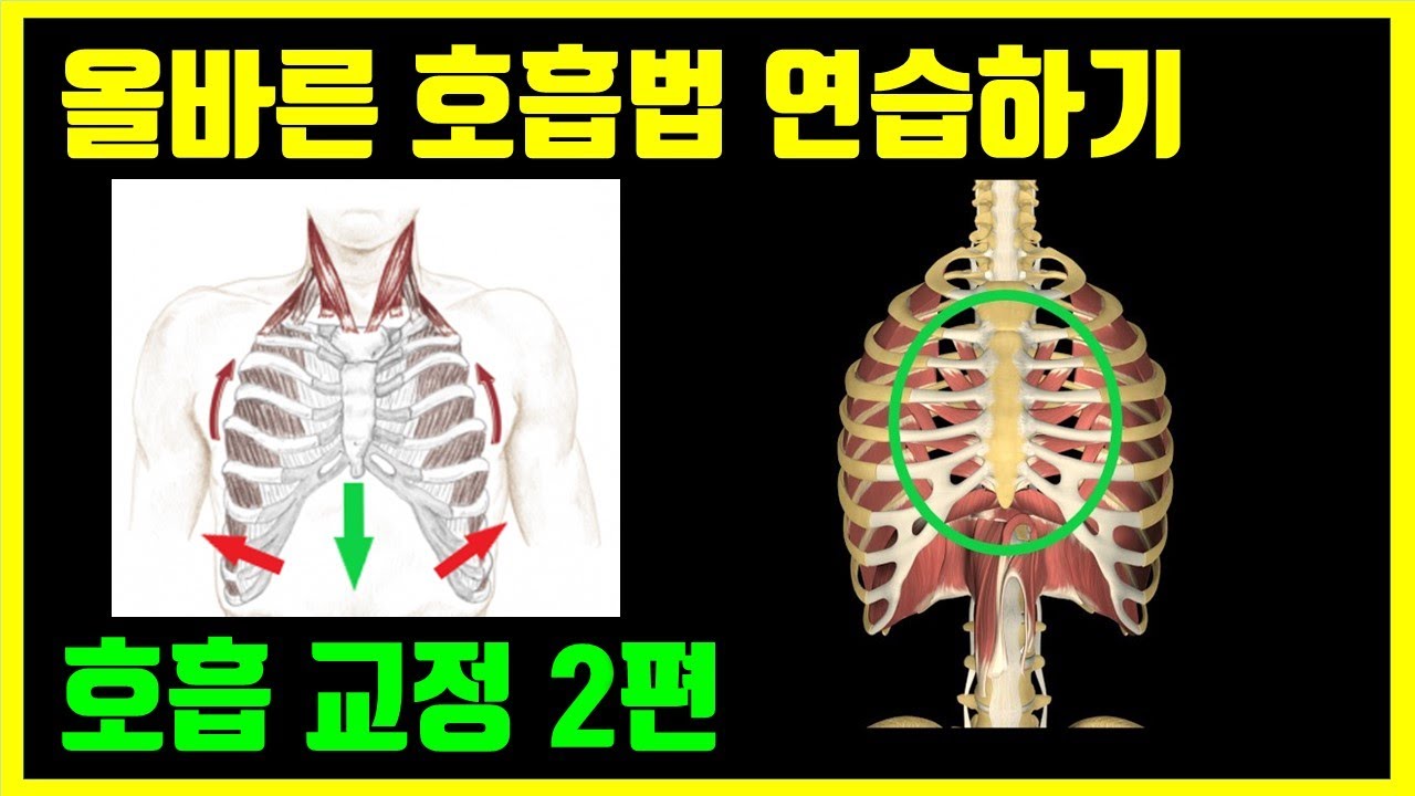 골반교정 체형교정운동 전 호흡 연습 먼저! 호흡법 교정 2편: 호흡 연습 운동 시 팁 대방출