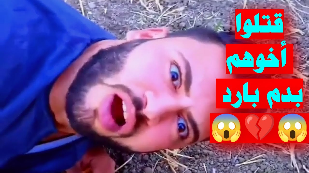 علي بابا | بدون أخيك ستأكلك الكلاب حتي لو كنت أسداً 🔥!!