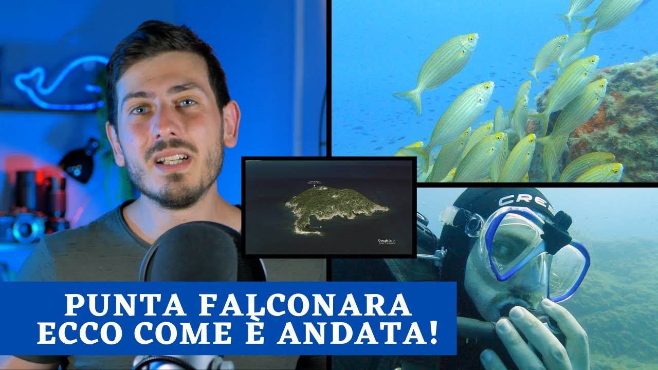 IMMERSIONE A PUNTA FALCONARA (ISOLA GALLINARA) - COM'È ANDATA? - SUB H2O