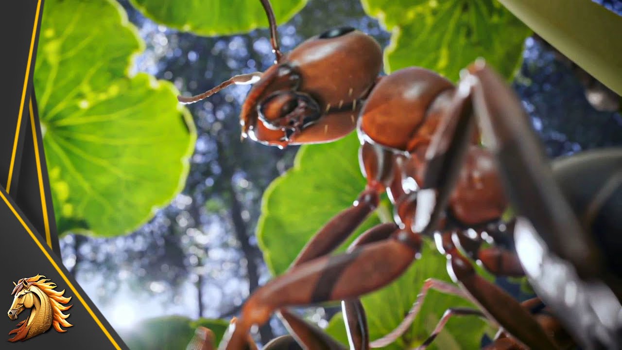 JE DIRIGE UNE ARMÉE DE FOURMIS (Les Fourmis)