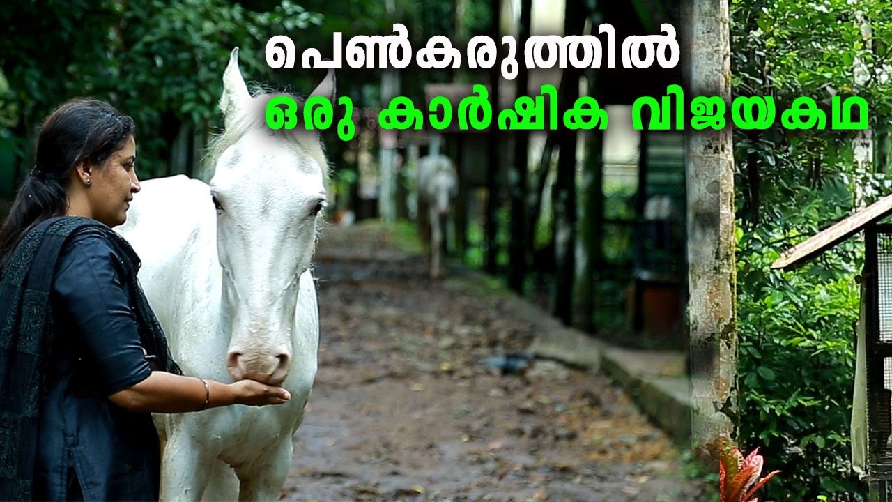 പെൺകരുത്തിൽ  ഒരു കാർഷിക വിജയകഥ I Swapna Siby Kallingal Plantation