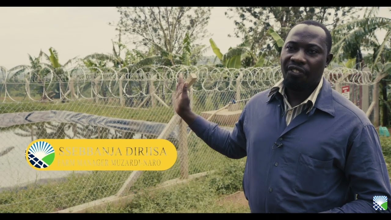 Solar Irrigation Water Pumping - Uganda - Africa