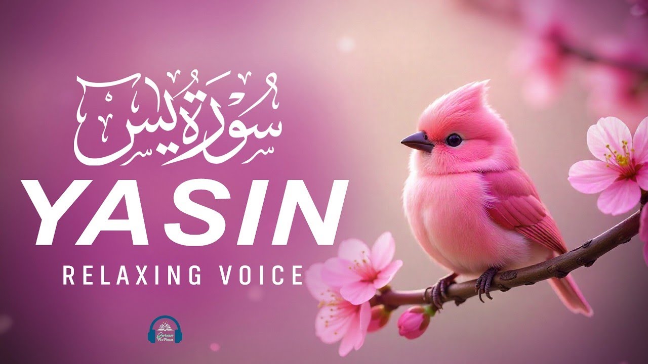 Surah Yaseen Full سورة يس | Soothing & Beautiful Recitation for Inner Peace | Reciter Alaa Aqel