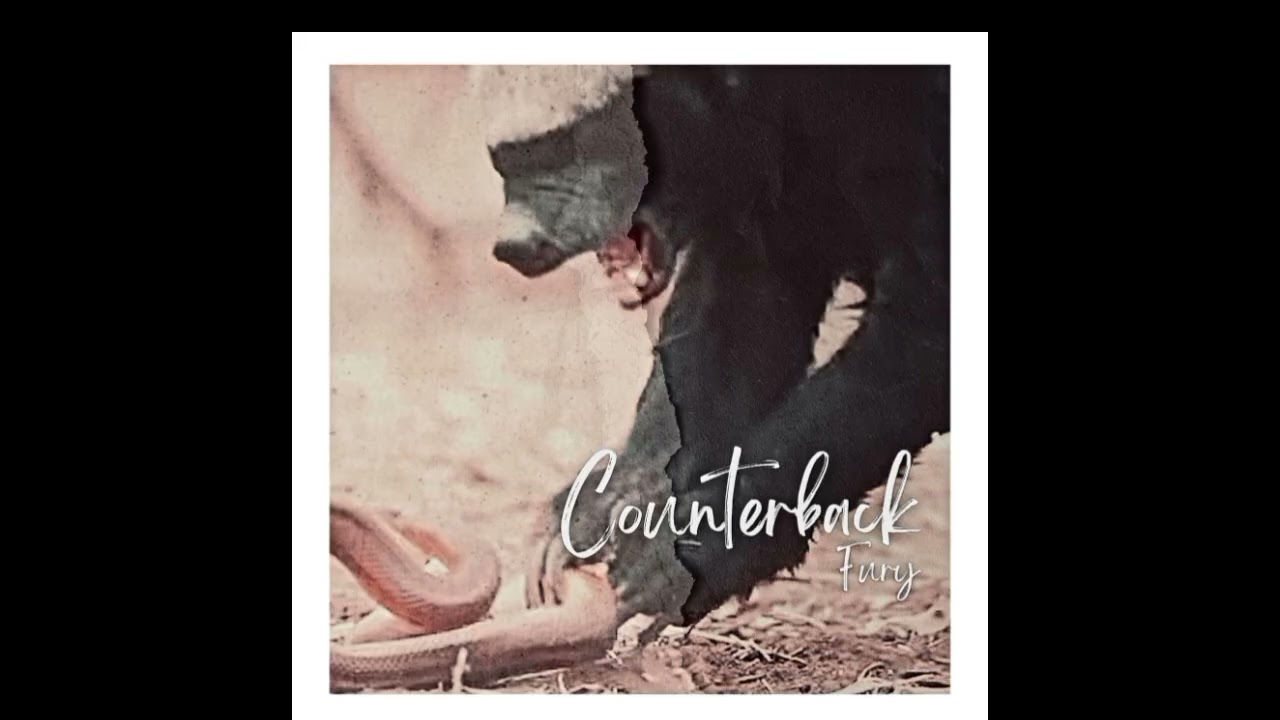 COUNTERBACK - MINDSET