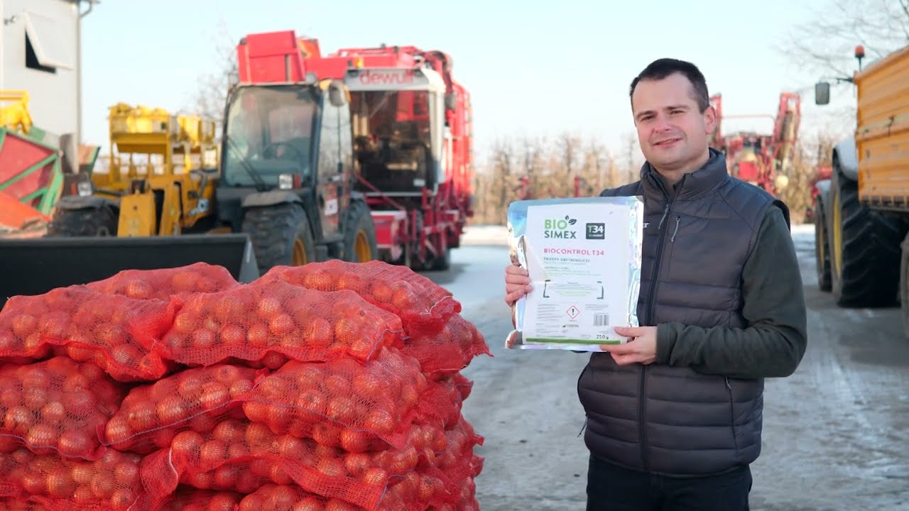 Pogromca Fusarium w cebuli - Biocontrol T34. Wojtek i Mateusz polecają
