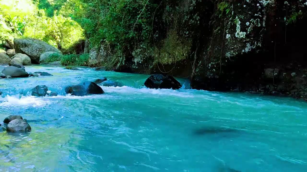 Peaceful Forest Stream, River Flow, Nature Sounds for Sleeping