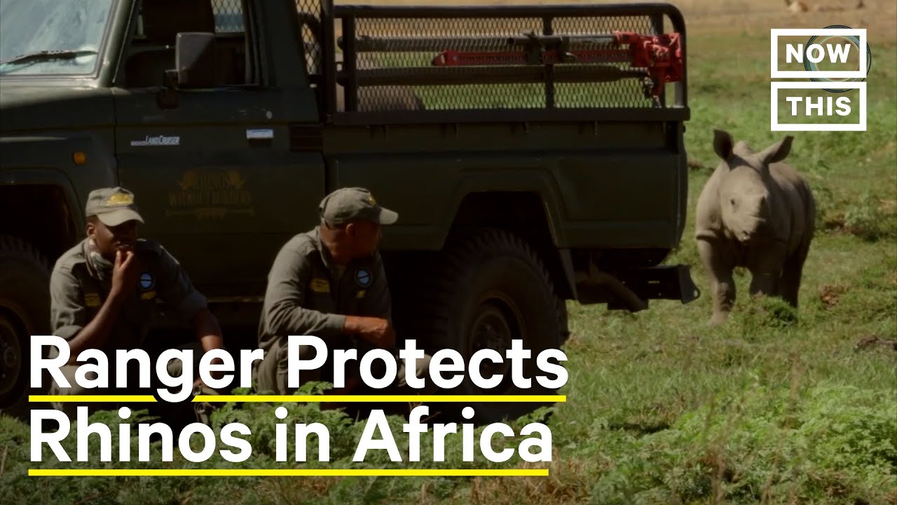 Ranger Protects Rhinos From Poaching in Africa