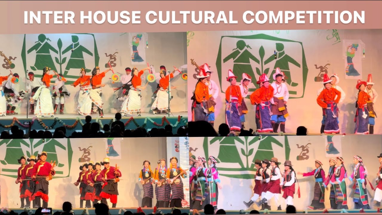 LADAKH TCV INTER-HOUSE CULTURAL COMPETITION 🌸|24-06-2024|Tsering Sithar|Tibetan vlogger