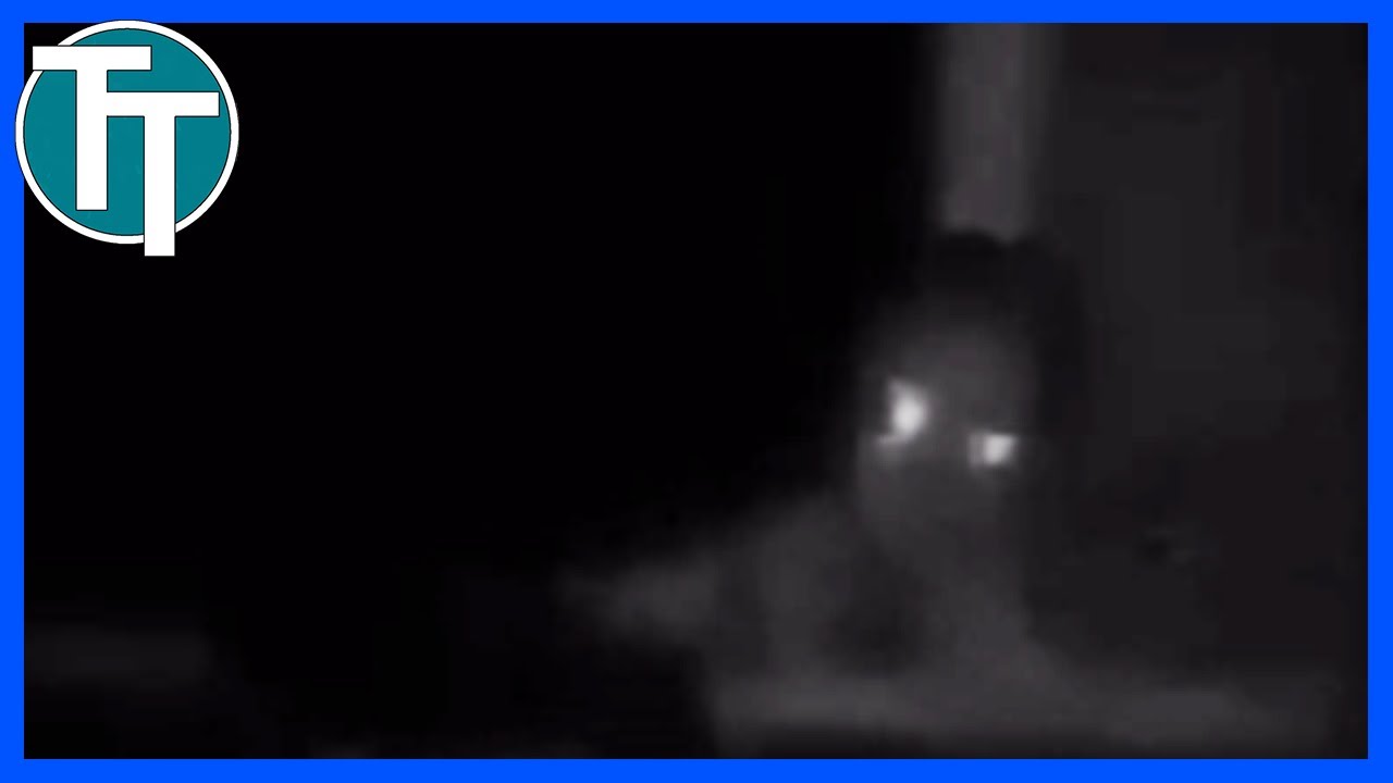 10 ENGSTE DINGEN VASTGELEGD OP CAMERA - TopTien