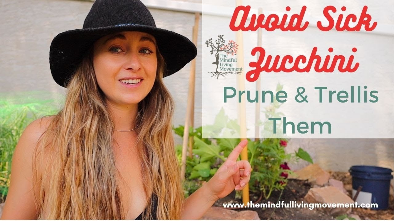 Prune & Trellis Zucchini For Max Harvest & Healthiest Plants