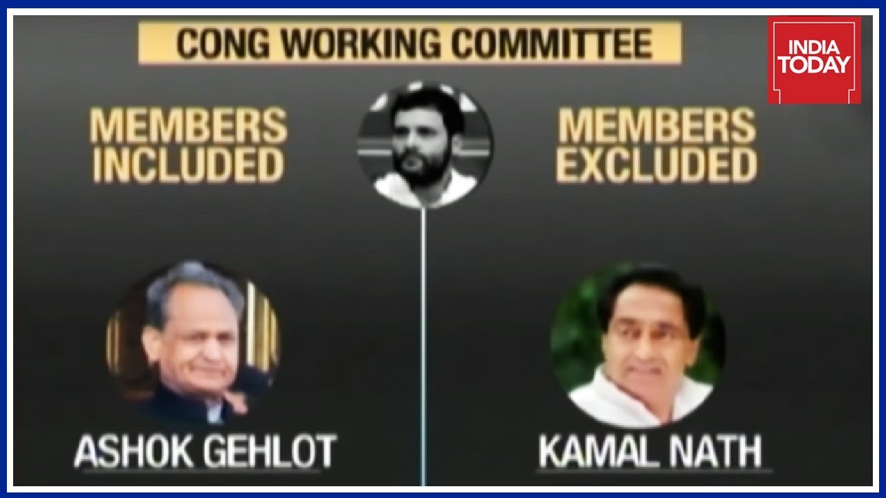 Rahul Gandhi Rejigs Congress' Top Decision-Making Body, Only 3 Women Members