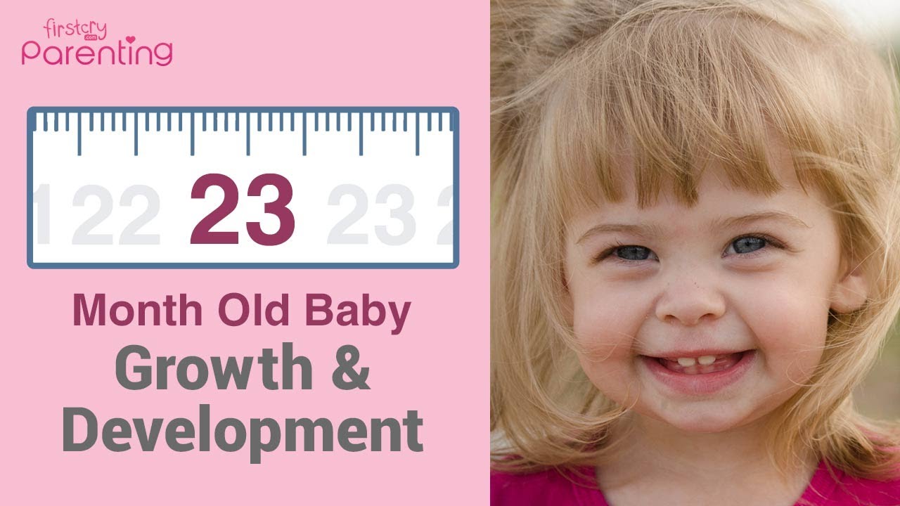 Your 23 Month Old Baby's Growth and Development