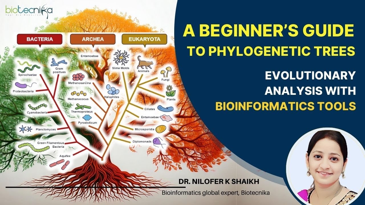 A Beginner’s Guide to Phylogenetic Trees: Evolutionary Analysis with Bioinformatics Tools