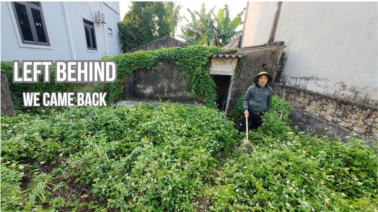 Left Behind for Years — We Returned to Clean This Forgotten Place.