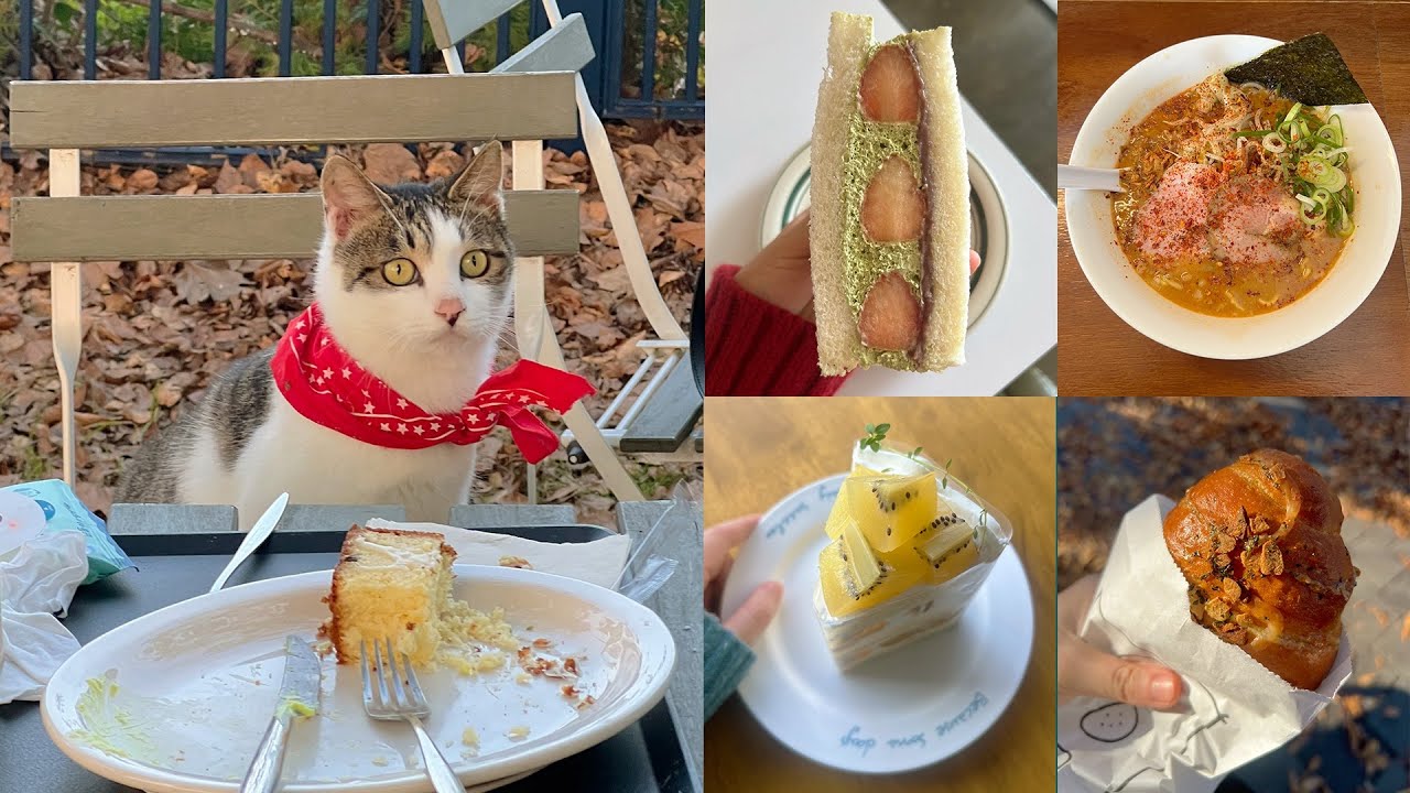 대전 카페·빵집·맛집 모음.zip | 가을을 담은 동학사, 김장하기