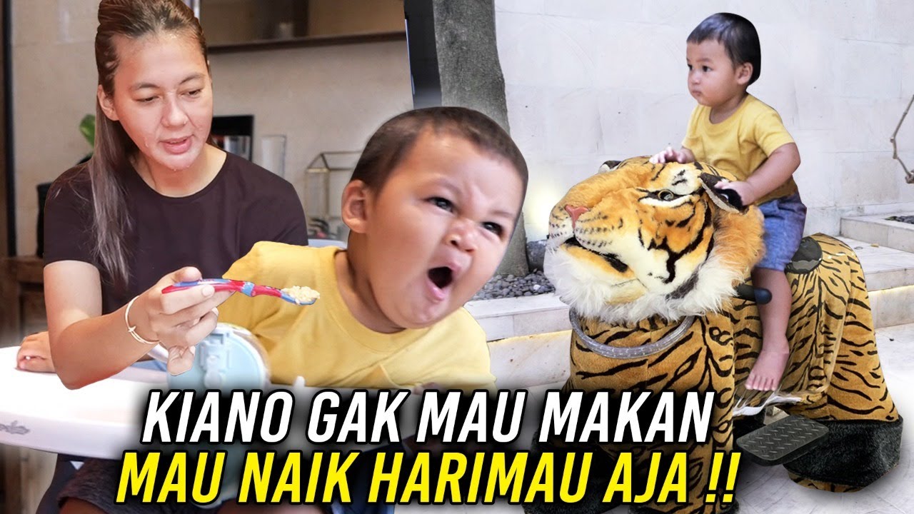 MAMAH PUSING, KIANO GA MAU MAKAN ‼️ MAUNYA NAIK HARIMAU TRUS ‼️
