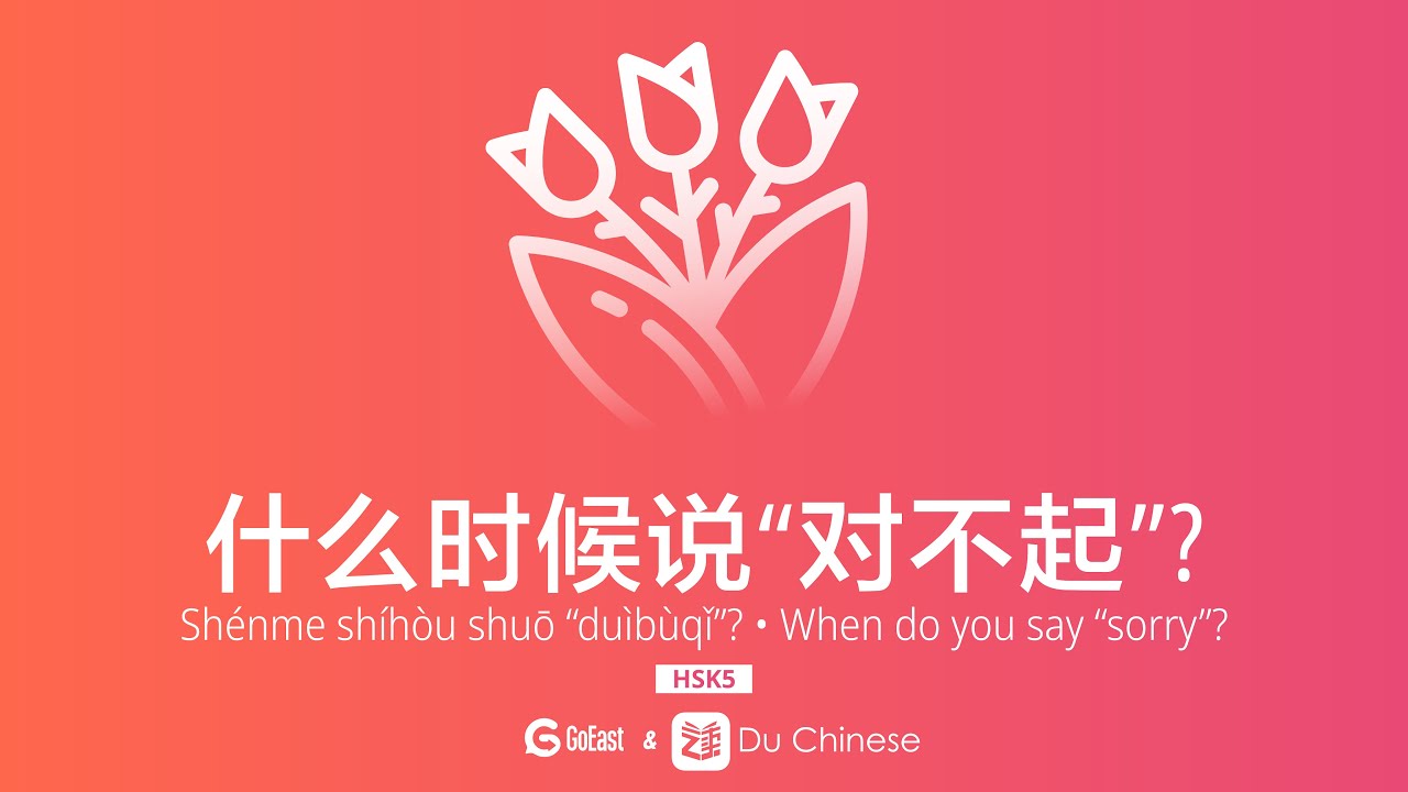 Chinese listening practice | When do you say sorry? | HSK5