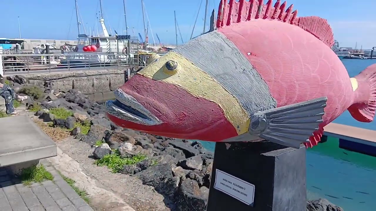 Corralejo Fuerteventura. Harbour area.