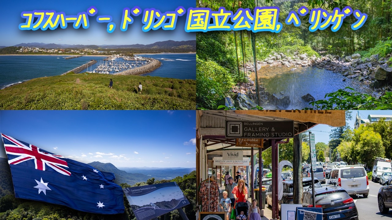 008 コフスハーバー、ドリンゴ国立公園、ベリンゲン Coffs Harbour, Dorringo national park, Bellingen