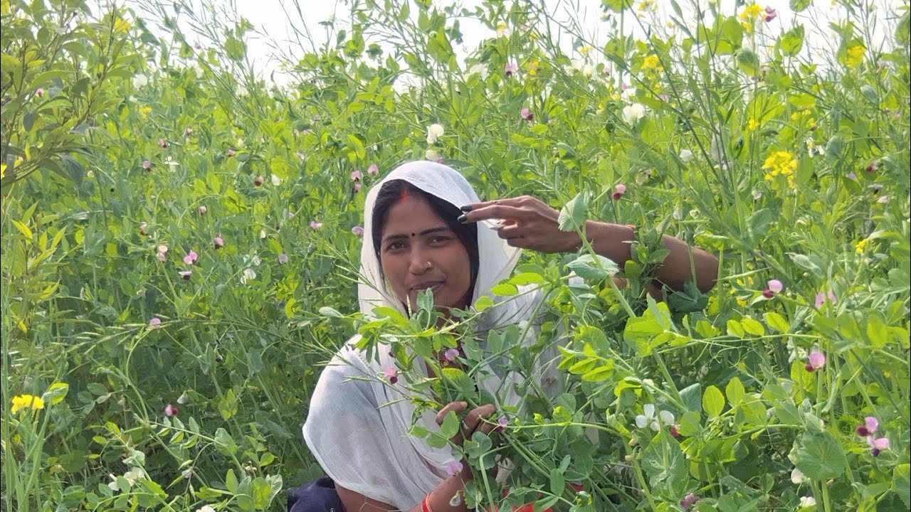 ramita devi is live