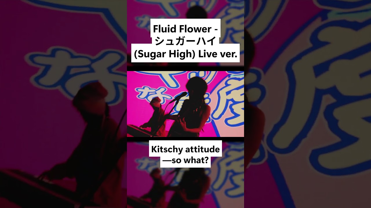 FLUID FLOWER 「シュガーハイ(Sugar High)」 Live Clip Highlight① 