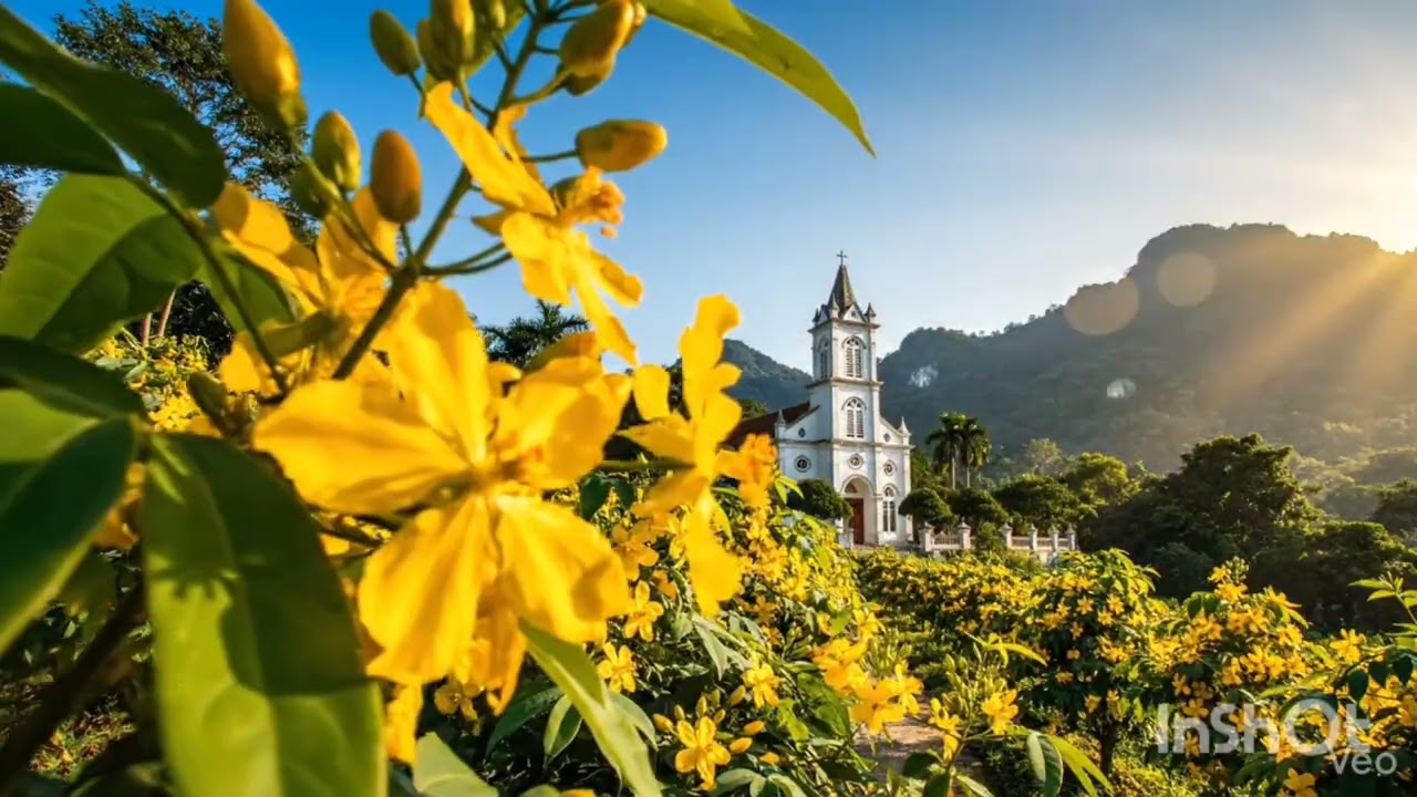 Lời Tạ Ơn Mùa xuân 🙏Xin Thiên Chúa hãy làm cho Vinh Quang Ngài được lan tỏa đến mọi người 🙏 Amen 