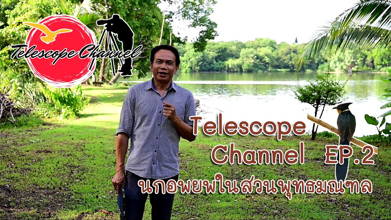 Telescope Channel EP.2 นกอพยพในสวนพุทธมณฑล