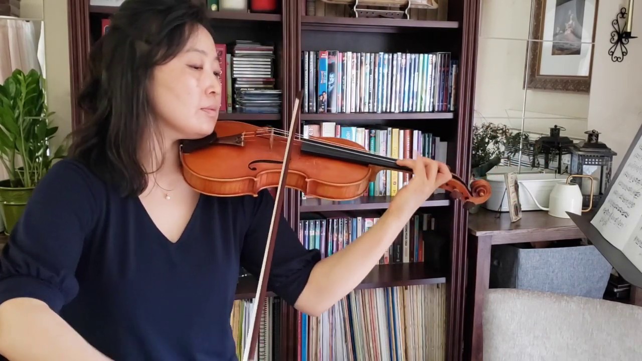 Vivaldi G minor Concerto, 1st mv for violin (Suzuki Bk 5) Medium/Slow Play Along