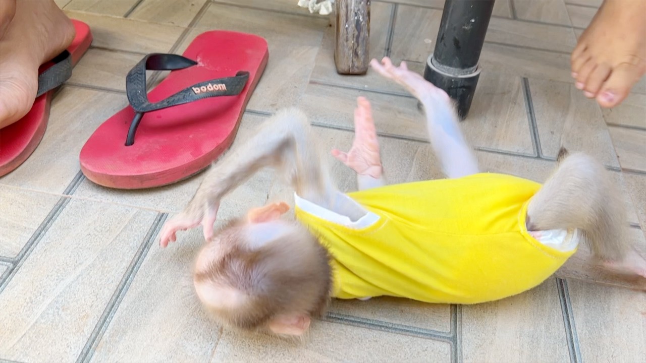 Chilling Baby Tauch Not Careful Fell Form Folding Chair While Playing
