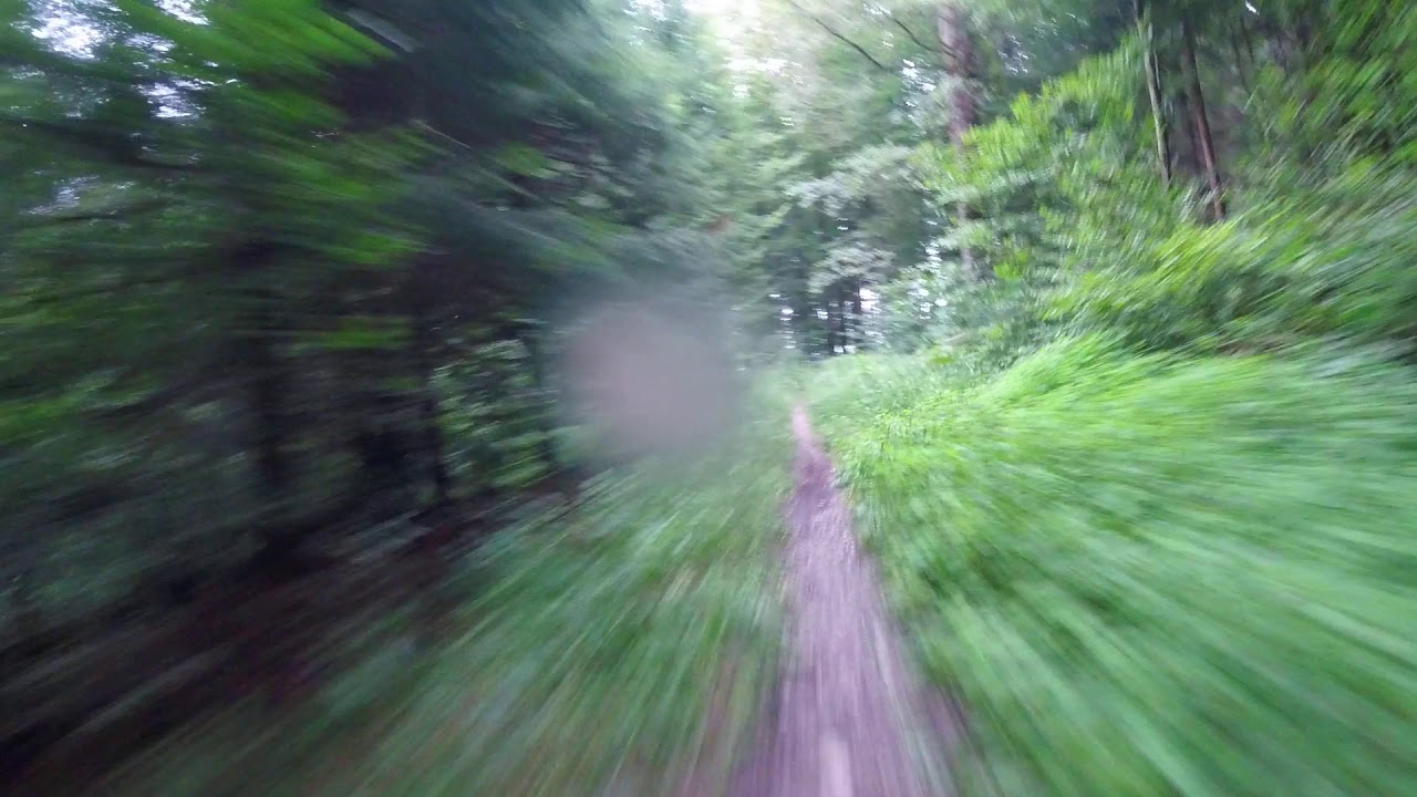 Uetliberg Antennentrail. Beginner mode.
