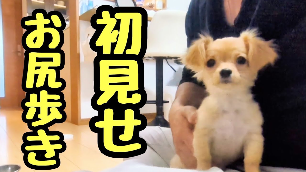 お尻歩きをカメラマンに見せつける『るう』