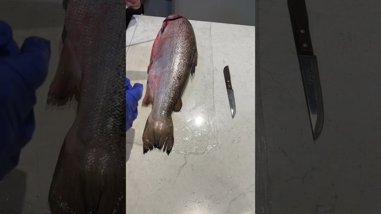 Let’s watch Luka’s dad fillet the salmon.
