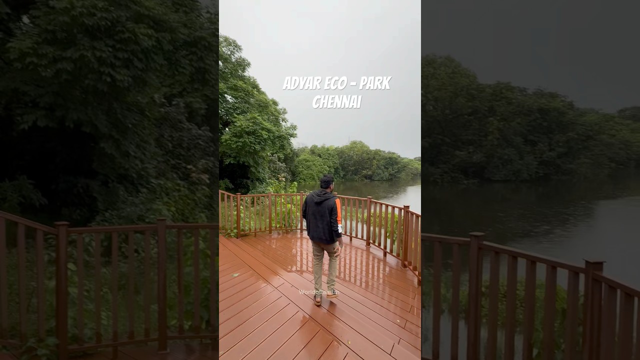 Chennai&rsquo;s Newest Eco - Park 🌿🤩 #adyar #thlokappiyapoonga #chennaipark #chennai #chennairains #