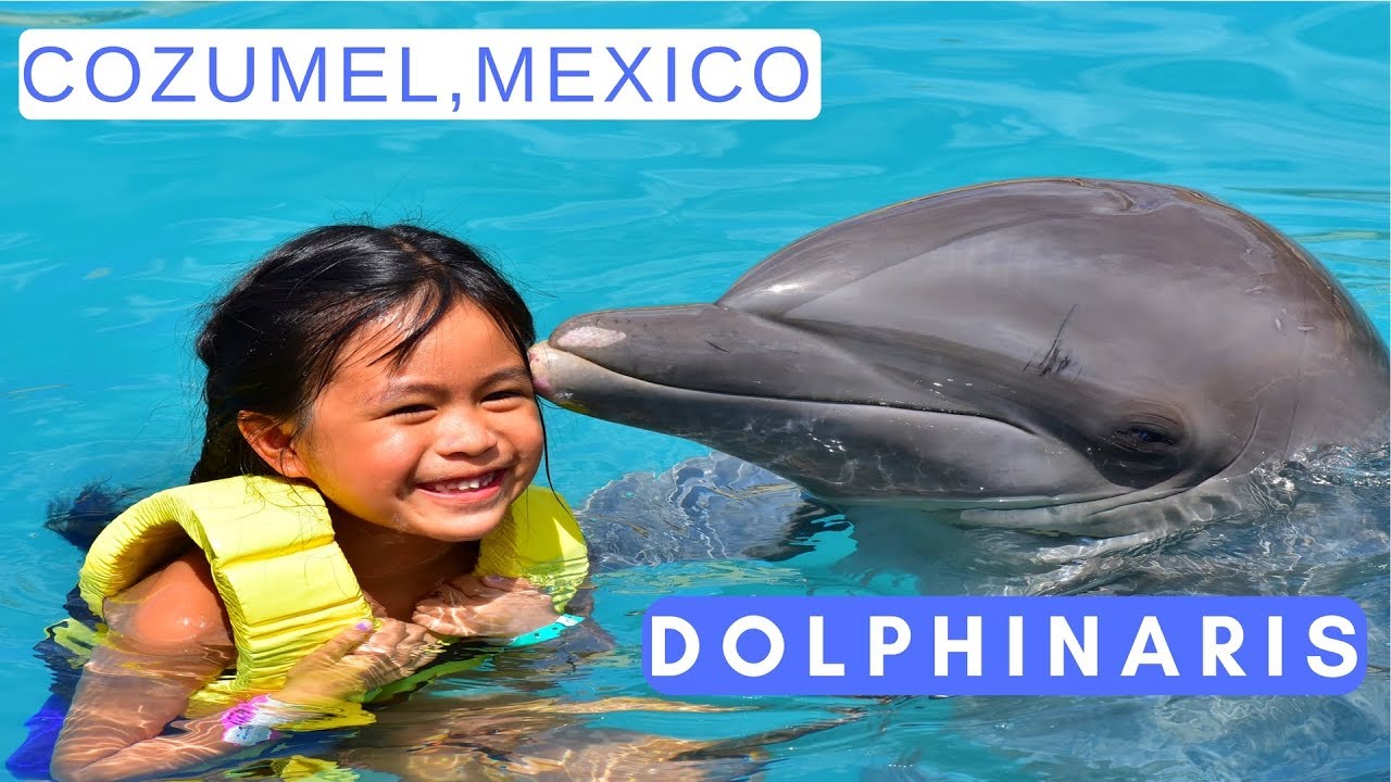 Dolphinaris in Cozumel